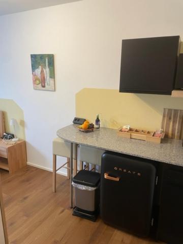 1 Zimmer Appartement Nahe Gmunden Top2 Pinsdorf 外观 照片
